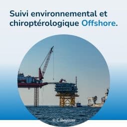 Suivi environnemental et chiroptérologique Offshore