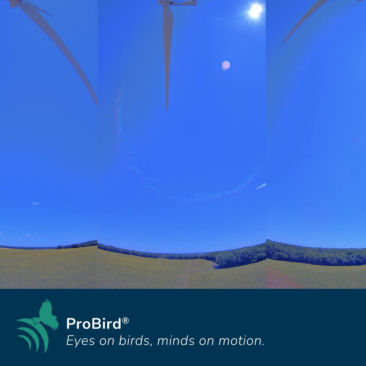 ProBird