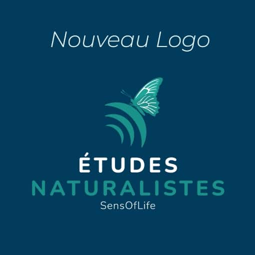 logo_enviro